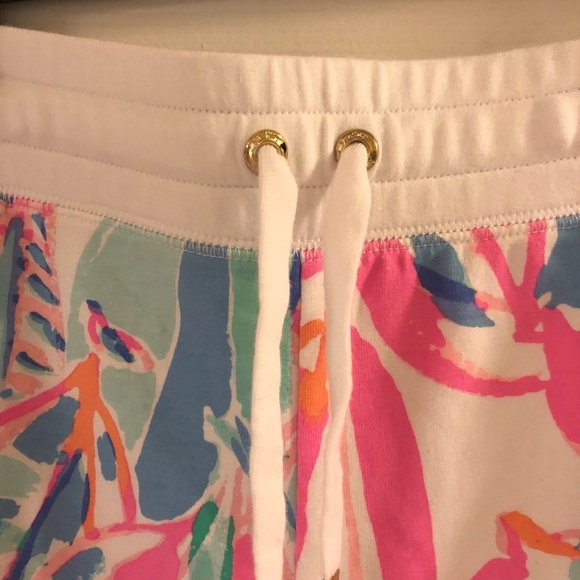 ❌SOLD❌Lilly Pulitzer Chrissy Shorts - Picture 5 of 6